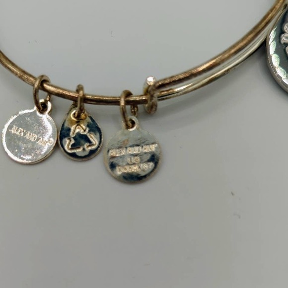 Alex and Ani Bangle Bracelet Northern Original Directional Charms 2020 - Picture 6 of 8